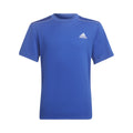 Designed 4 Sport T-Shirt Jungen - blau,
