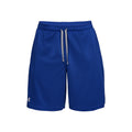Tech Mesh Shorts Herren - blau, hellgrau