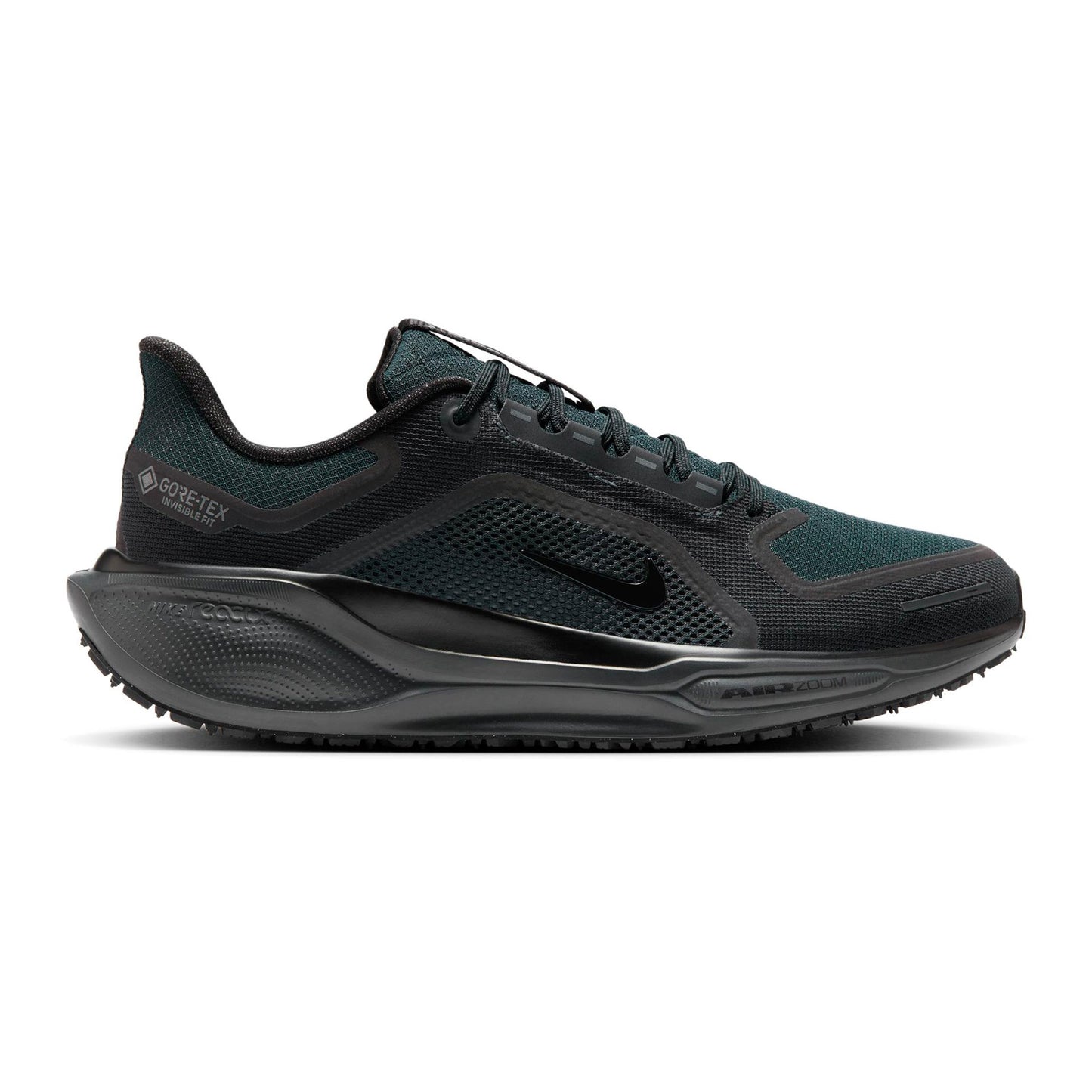 Nike Pegasus 41 GTX Neutralschuh Herren - schwarz, schwarz