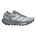 Terrex Agravic GTX 2 Trailschuh Damen - grau, grau