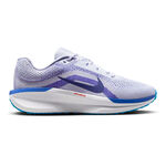 Nike Winflo 11