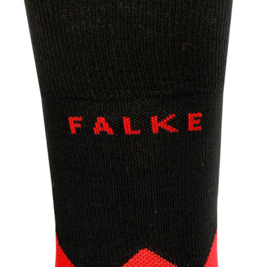 Falke