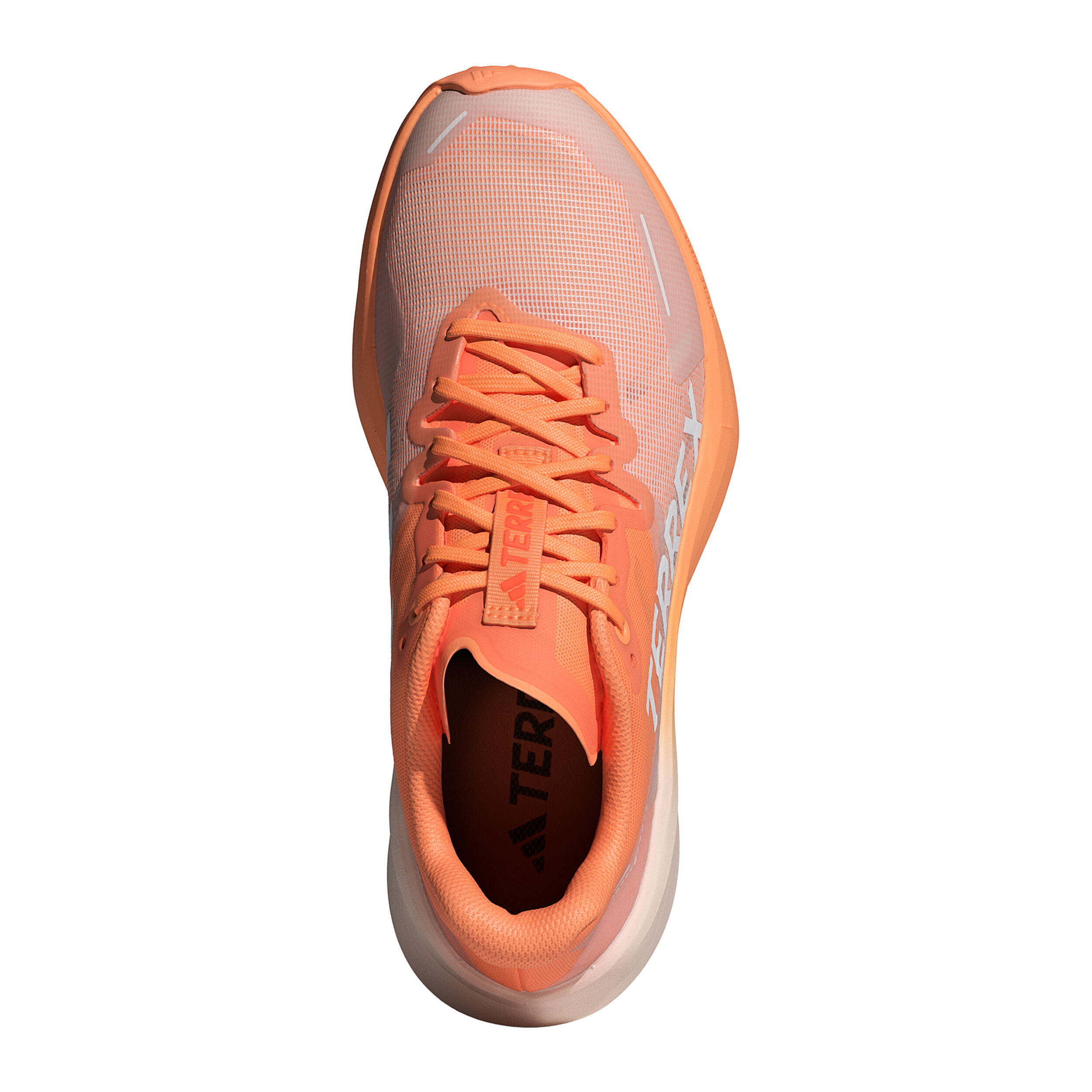 Asics terrex 2025