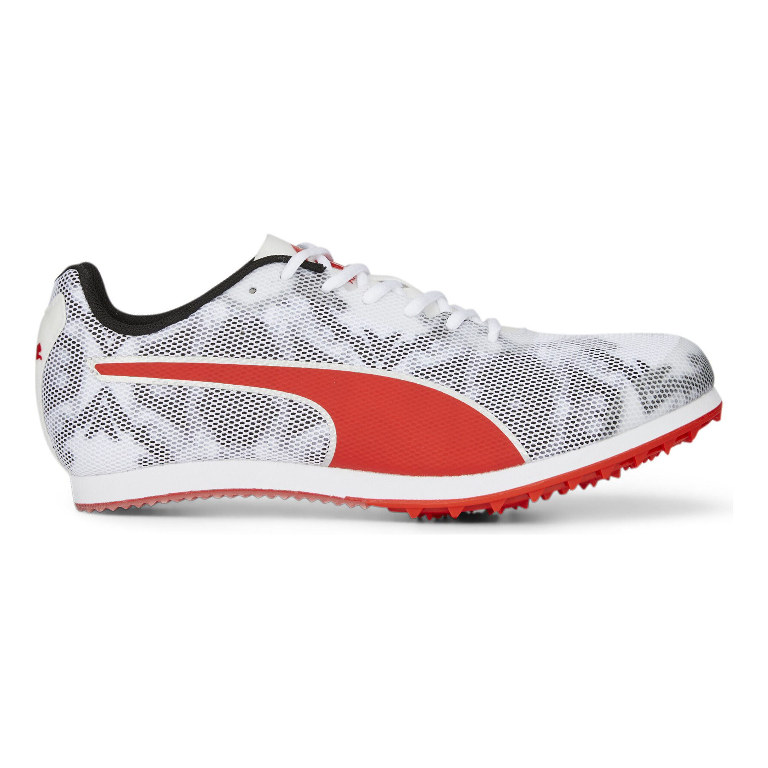 Puma EvoSPEED Star 8 Spikeschuh Kinder Schwarz WeiB online kaufen Running Point AT