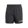 Terrex MT Laufshorts Herren-Schwarz