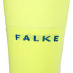 Falke