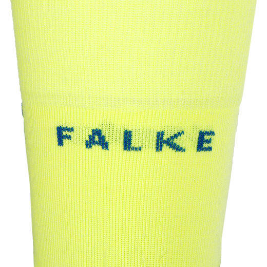 Falke