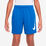 Dri-Fit Graphic Shorts