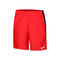 Dri-Fit Challenger 7BF Shorts Men